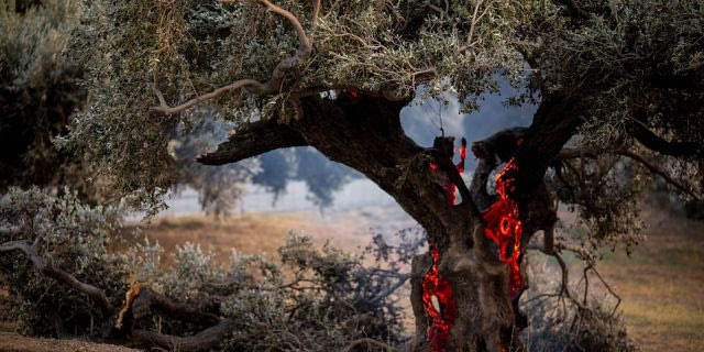 Πυρκαγιά στην περιοχή Κρύα Βρύση στο Ρέθυμνο