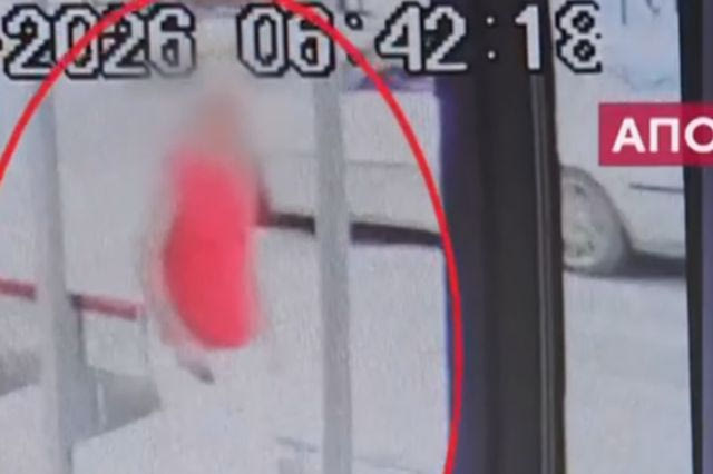 Βριλήσσια: Συγκλονίζει ο 66χρονος για την επίθεση του σκύλου – “Όρμηξε και έπνιξε το ζωάκι μου”