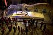 Στο “σφυρί” σκελετός T-Rex αξίας 30 εκατ. δολαρίων – Ανησυχία από τους επιστήμονες
