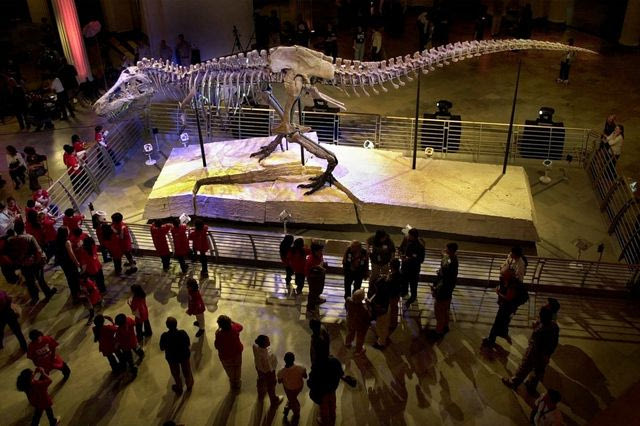Στο “σφυρί” σκελετός T-Rex αξίας 30 εκατ. δολαρίων – Ανησυχία από τους επιστήμονες