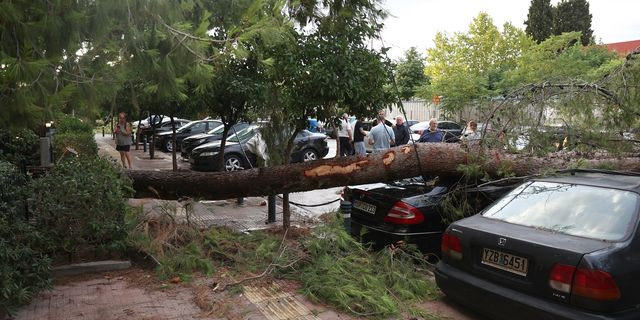 Κακοκαιρία: Μπαράζ από πτώσεις δέντρων – 152 κλήσεις έλαβε η Πυροσβεστική μόνο στην Αττική