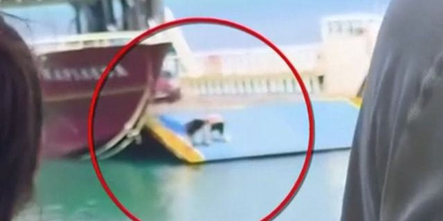 Ένας από τους πλοιοκτήτες ο άνδρας που ανέβηκε στο πλοίο με τον ανοιχτό καταπέλτη