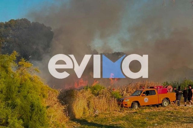 Φωτιά στην Ερέτρια Εύβοιας – Στο σημείο της Πυροσβεστικής