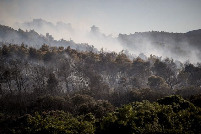 Meteo: Η φωτιά στην Οινόη δημιουργεί τον δικό της καιρό