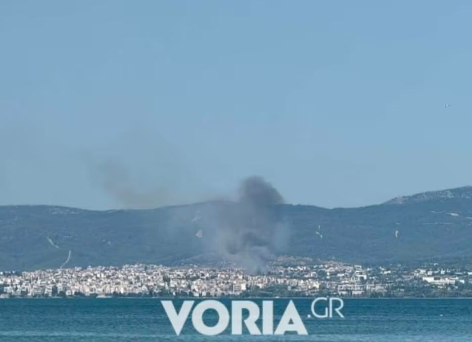 Φωτιά στην Πυλαία Θεσσαλονίκης – Ήχησε το 112 για εκκένωση της περιοχής Μουσικό Σχολείο