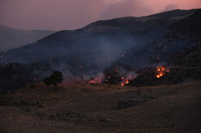 Κοντά σε σπίτια καίει η φωτιά στην Πάρο – 59 οι απεγκλωβισμένοι από την Πρέβελη