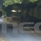 Η στιγμή που  50χρονος βάζει φωτιά στην Άνοιξη – Βίντεο ντοκουμέντο
