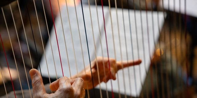 “Μουσικές Ρίζες”: 5ο Φεστιβάλ Μουσικής Χάλκης Δημήτρης Κρεμαστινός