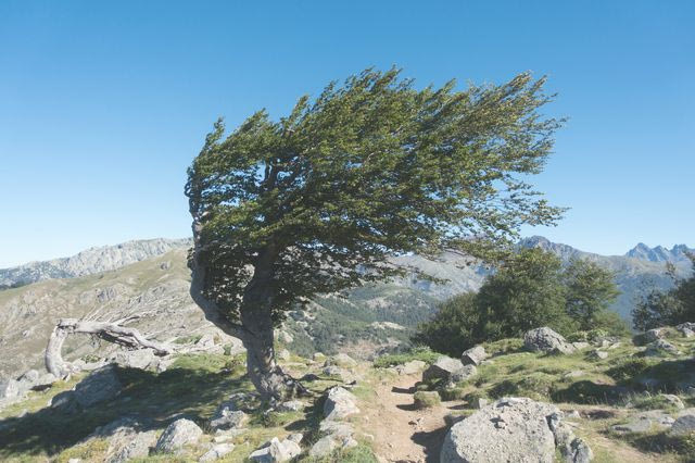 Θυελλώδεις άνεμοι στην Αττική – Έφτασαν τα 150χλμ./ώρα στην Πεντέλη