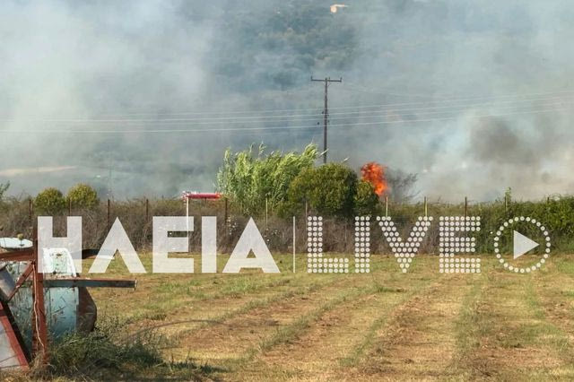 Υπό έλεγχο η φωτιά στον Πύργο Ηλείας