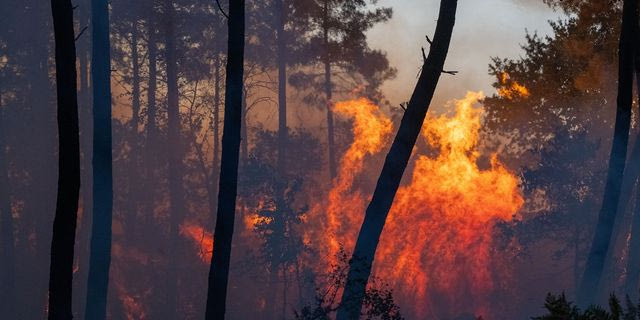 Μεγάλη φωτιά στο Βέλγιο: Εκκενώνεται γερμανική πόλη στα σύνορα των δύο χωρών