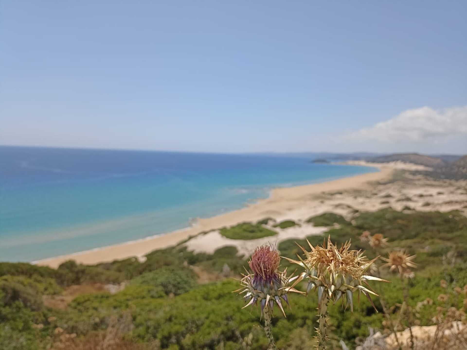 Στιγμιότυπο από την Καρπασία