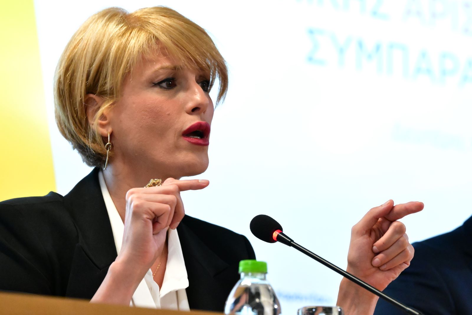 Κουφονικολάκου: Να καθιερωθεί ο όρος γυναικοκτονία στον Ποινικό Κώδικα