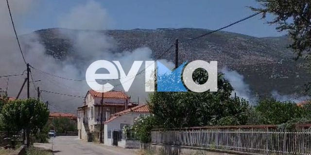 Καλύτερη η εικόνα της φωτιάς στην Κύμη – Είχε σταλεί μήνυμα 112 για εκκένωση