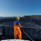 Ιχθυοτροφές τι πραγματικά ισχύει για τη σύνθεση τους τον έλεγχο και τη βιωσιμότητα τους