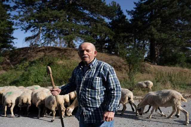 Ο τελευταίος επαρχιακός δρόμος της ηπειρωτικής Ελλάδας