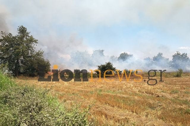 Μεγάλη φωτιά στην Οινούσσα Σερρών – Μήνυμα 112 για εκκένωση, κοντά σε σπίτια οι φλόγες