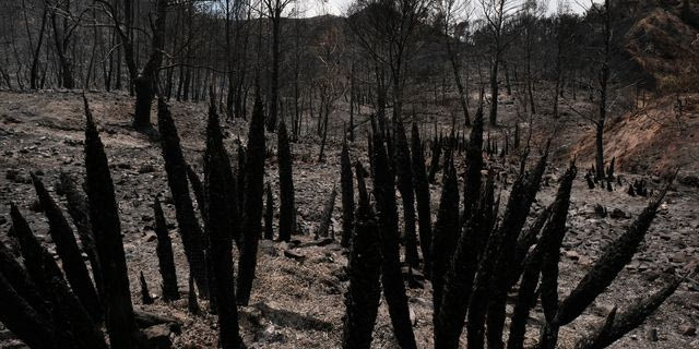 Πυρκαγιά στην Ισπανία