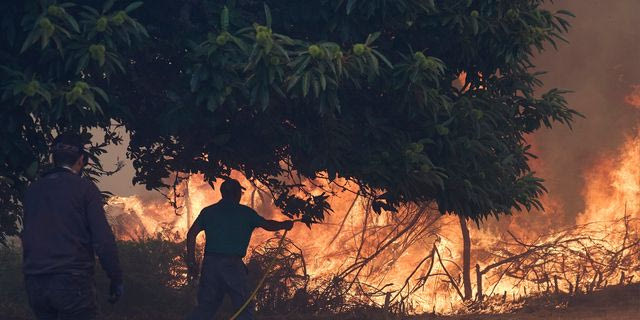 Τραγωδία στην Ισπανία: 12 νεκροί από δασική πυρκαγιά