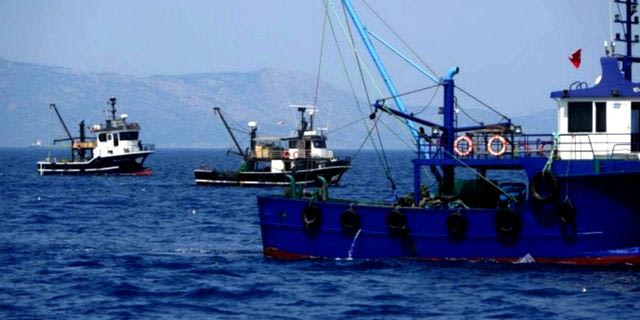 22/07/2026 - 14.25: Τουρκική μηχανότρατα αλιεύει παράνομα εντός των ελληνικών χωρικών υδάτων και της προστατευόμενης θαλάσσιας περιοχής των Φούρνων, όπου η αλιεία με μηχανότρατες απαγορεύεται. Η δραστηριότητα αυτή απειλεί με μη αναστρέψιμη καταστροφή τα μοναδικά κοραλλιγενή οικοσυστήματα της περιοχής, ηλικίας χιλιάδων ετών.