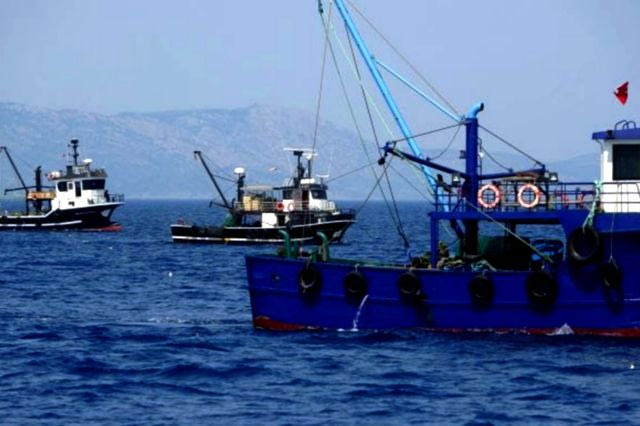 22/07/2026 - 14.25: Τουρκική μηχανότρατα αλιεύει παράνομα εντός των ελληνικών χωρικών υδάτων και της προστατευόμενης θαλάσσιας περιοχής των Φούρνων, όπου η αλιεία με μηχανότρατες απαγορεύεται. Η δραστηριότητα αυτή απειλεί με μη αναστρέψιμη καταστροφή τα μοναδικά κοραλλιγενή οικοσυστήματα της περιοχής, ηλικίας χιλιάδων ετών.