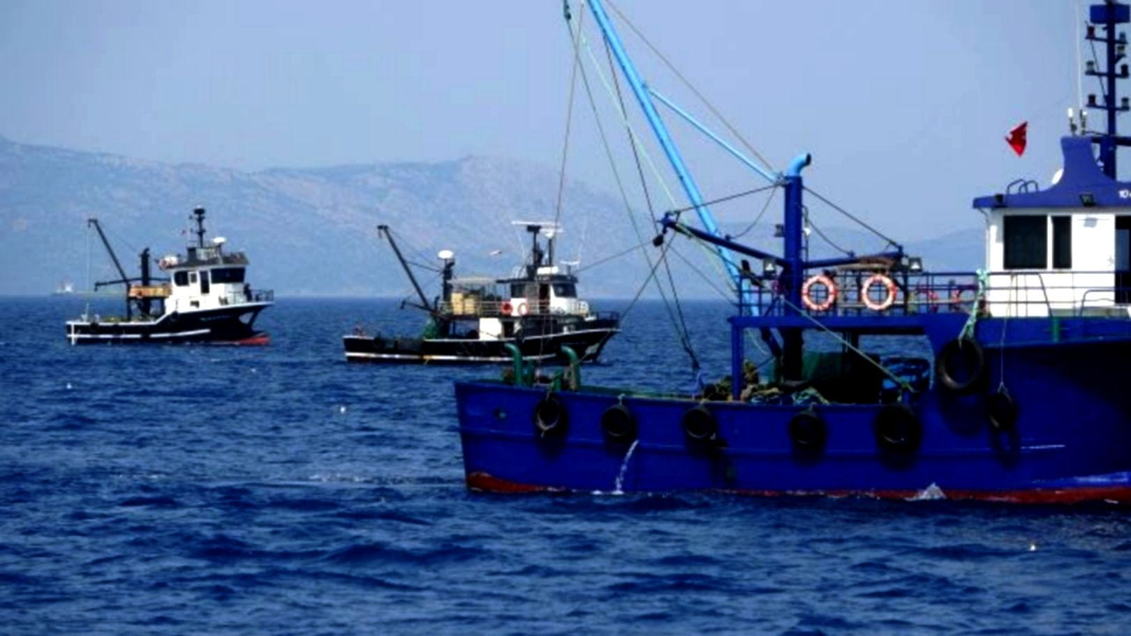 Βίντεο: Καταστροφική και παράνομη αλιεία από Τουρκικές μηχανότρατες