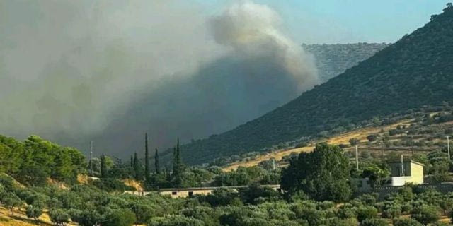 Φωτιά στον Κουβαρά Αττικής – Βελτιωμένη η εικόνα, ζημιές σε επιχειρήσεις