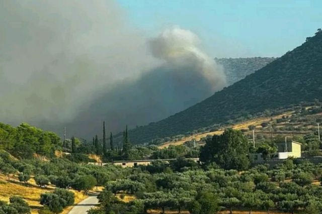 Φωτιά στον Κουβαρά Αττικής - Βελτιωμένη η εικόνα, ζημιές σε επιχειρήσεις