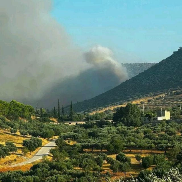 Φωτιά στον Κουβαρά Αττικής – Βελτιωμένη η εικόνα, ζημιές σε επιχειρήσεις