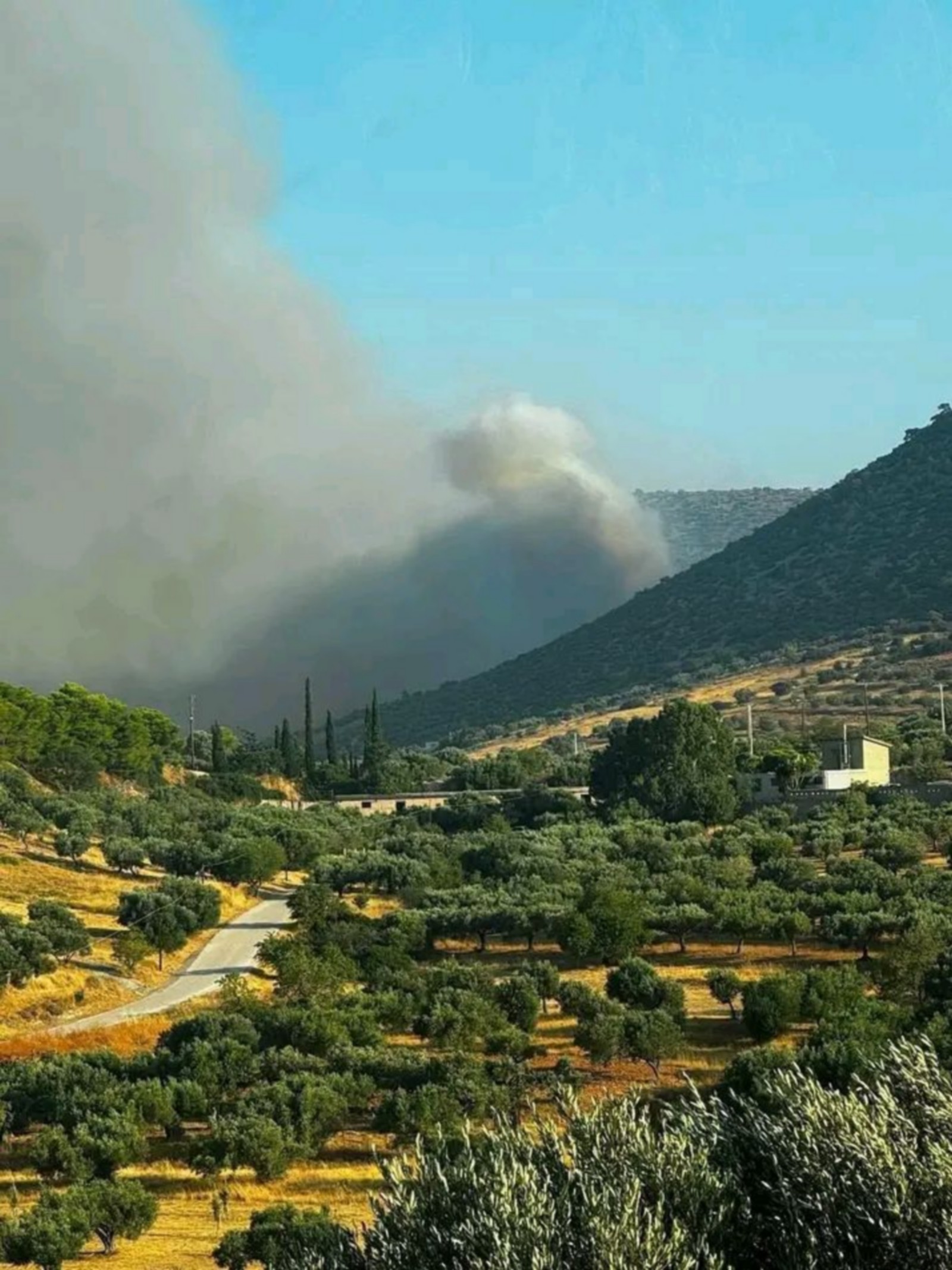 Φωτιά στον Κουβαρά Αττικής – Ζημιές σε επιχειρήσεις από τις φλόγες