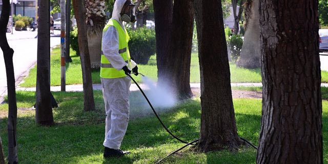 Ιός του Δυτικού Νείλου: Γιατί φέτος “χτυπά” την Αττική