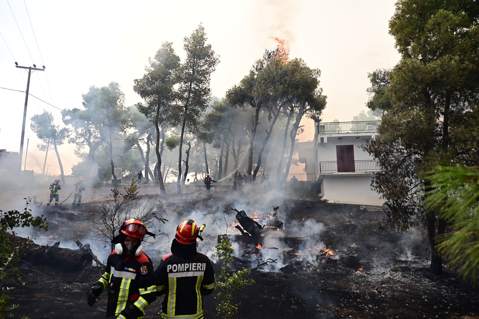 Πέμπτη μέρα μάχης με τις φλόγες σε Αττική και Βοιωτία – Κάηκαν πάνω από 130.000 στρέμματα