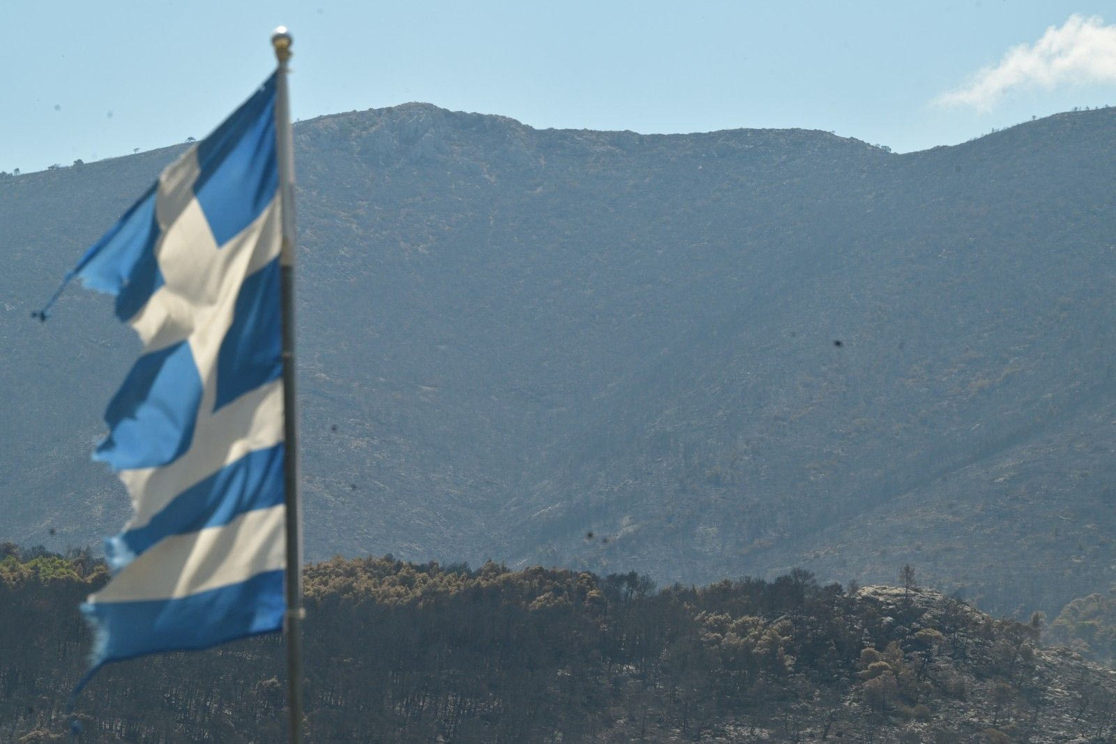Φωτιές: Μάχη με διάσπαρτες εστίες και αναζωπυρώσεις – Κρίσιμες οι επόμενες ώρες