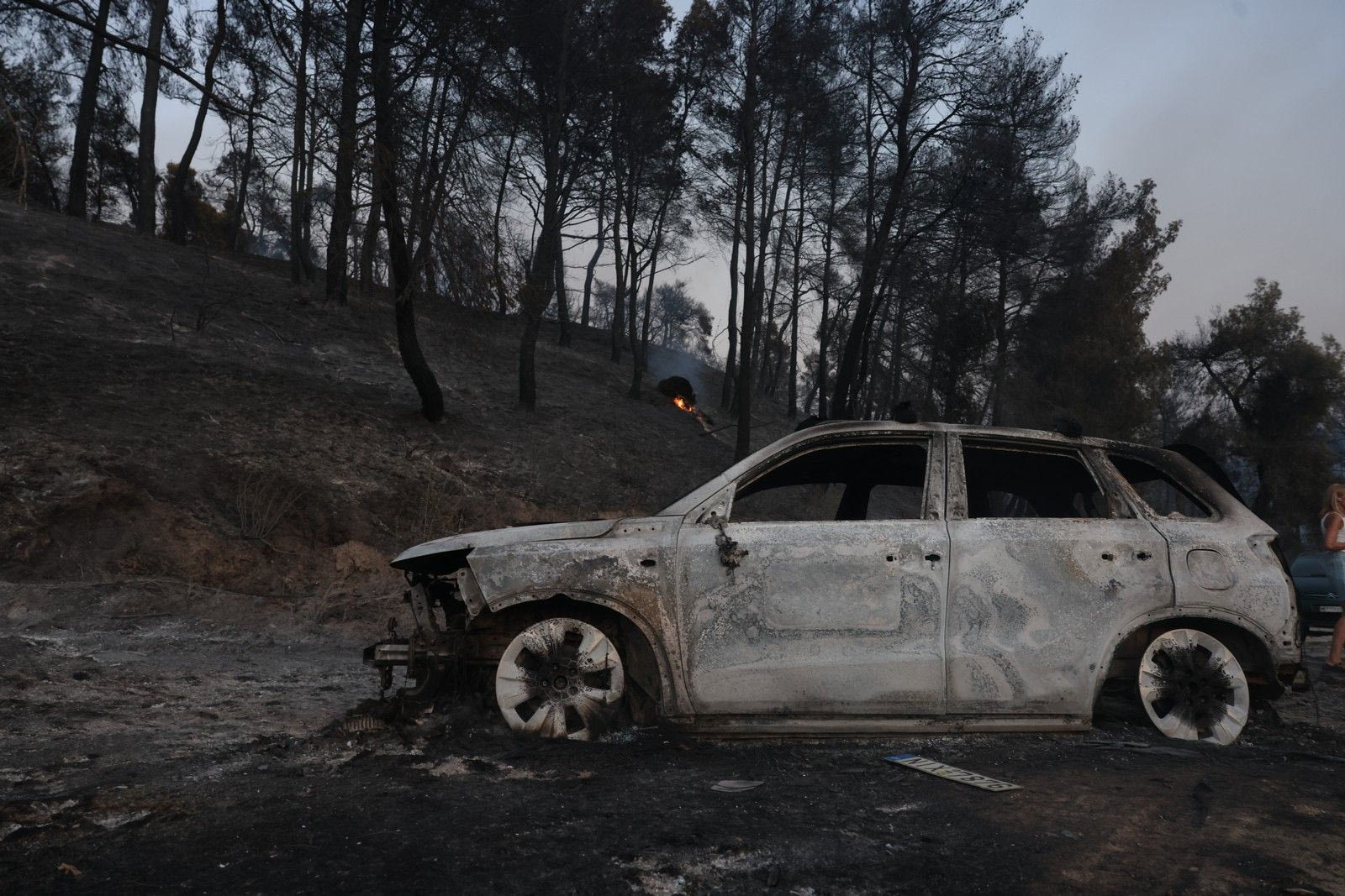 Φωτιά στη Χαλκιδική: Μάχη με διάσπαρτες εστίες και αναζωπυρώσεις - Ζημιές σε σπίτια