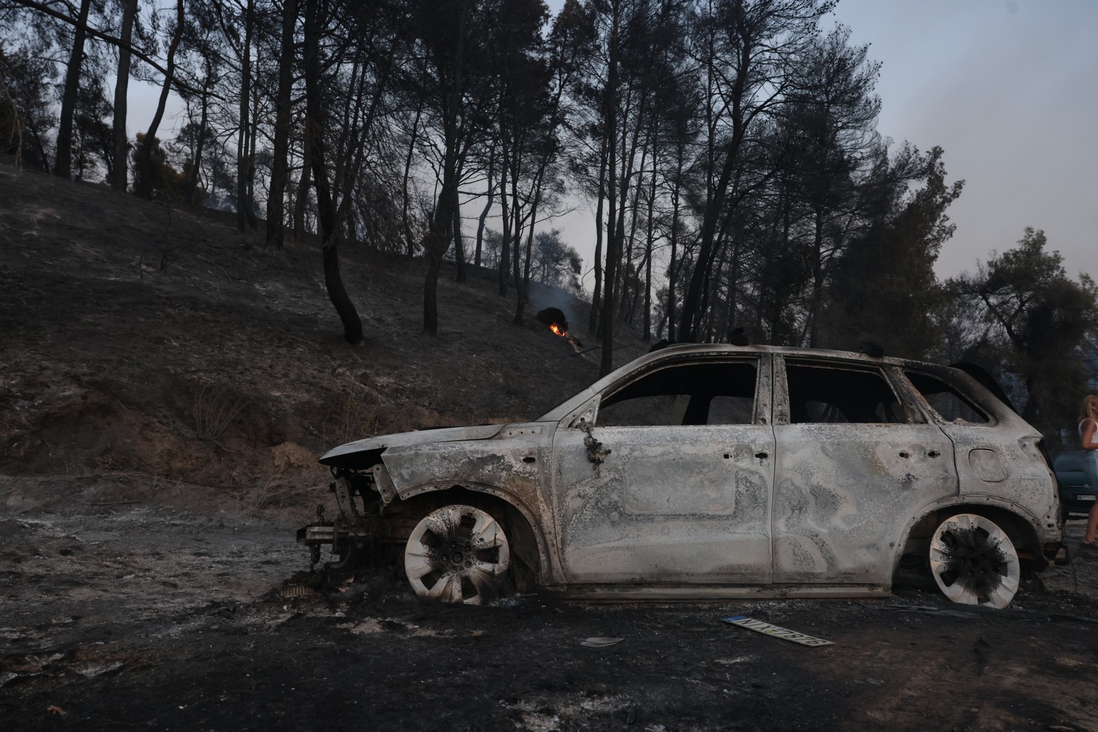 Φωτιά στη Χαλκιδική: Μάχη με διάσπαρτες εστίες – Ζημιές σε σπίτια, στάχτη πάνω από 3.000 στρέμματα
