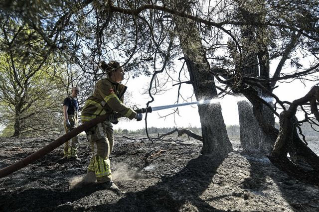 Ολλανδία: Εκατοντάδες πυροσβέστες δίνουν μάχη με τις φλόγες για την κατάσβεση δασικής πυρκαγιάς