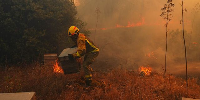 Καναδάς: Σε κατάσταση έκτακτης ανάγκης η Βρετανική Κολομβία λόγω των πυρκαγιών