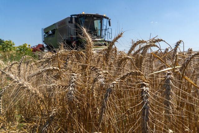 Ουκρανία: Σε απόγνωση οι αγρότες – Ο ρωσικός αποκλεισμός “μπλοκάρει” τις εξαγωγές σιτηρών