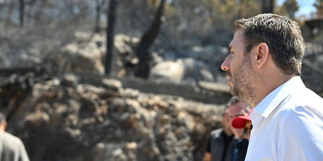 Ανδρουλάκης: Η πολιτική προστασία στη χώρα πρέπει να αποκτήσει ένα άλλο δόγμα