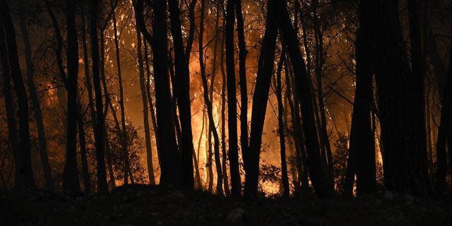 Φωτιές: Γιατί δεν φταίει μόνο η κλιματική αλλαγή – Τα κενά της ΕΕ