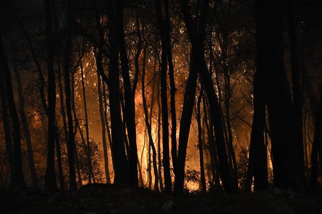 Φωτιές: Γιατί δεν φταίει μόνο η κλιματική αλλαγή – Τα κενά της ΕΕ
