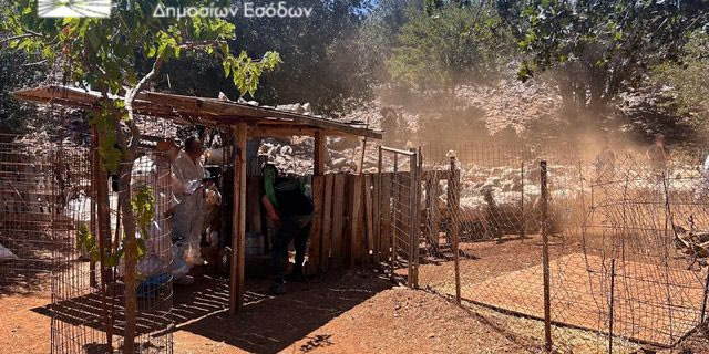 ΑΑΔΕ: Πρώτος μαζικός επιτόπιος έλεγχος για αγροτικές επιδοτήσεις – 195 έλεγχοι κτηνοτρόφων στην Κρήτη