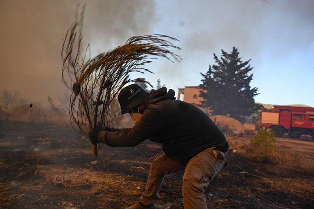 Φωτιές σε Αττική και Βοιωτία – Πάνω από 111.000 στρέμματα έγιναν στάχτη
