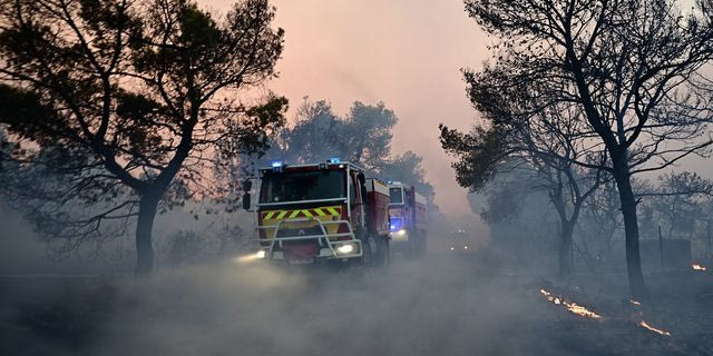 Φωτιά στην Αττικοβοιωτία