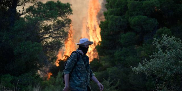 Φωτιά σε Αττική – Βοιωτία: Πώς κάηκε μέσα σε δύο βράδια το 55% της έκτασης