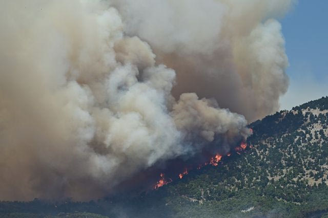 Φωτιά στη Δυτική Αττική: Πώς μέσα σε λιγότερο από δύο ώρες οι φλόγες έφτασαν στην Ψάθα