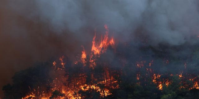 Πύρινη κόλαση στο Πόρτο Γερμενό: Εκκενώθηκε η ψάθα – Φλόγες κοντά σε σπίτια στη Βενίζα