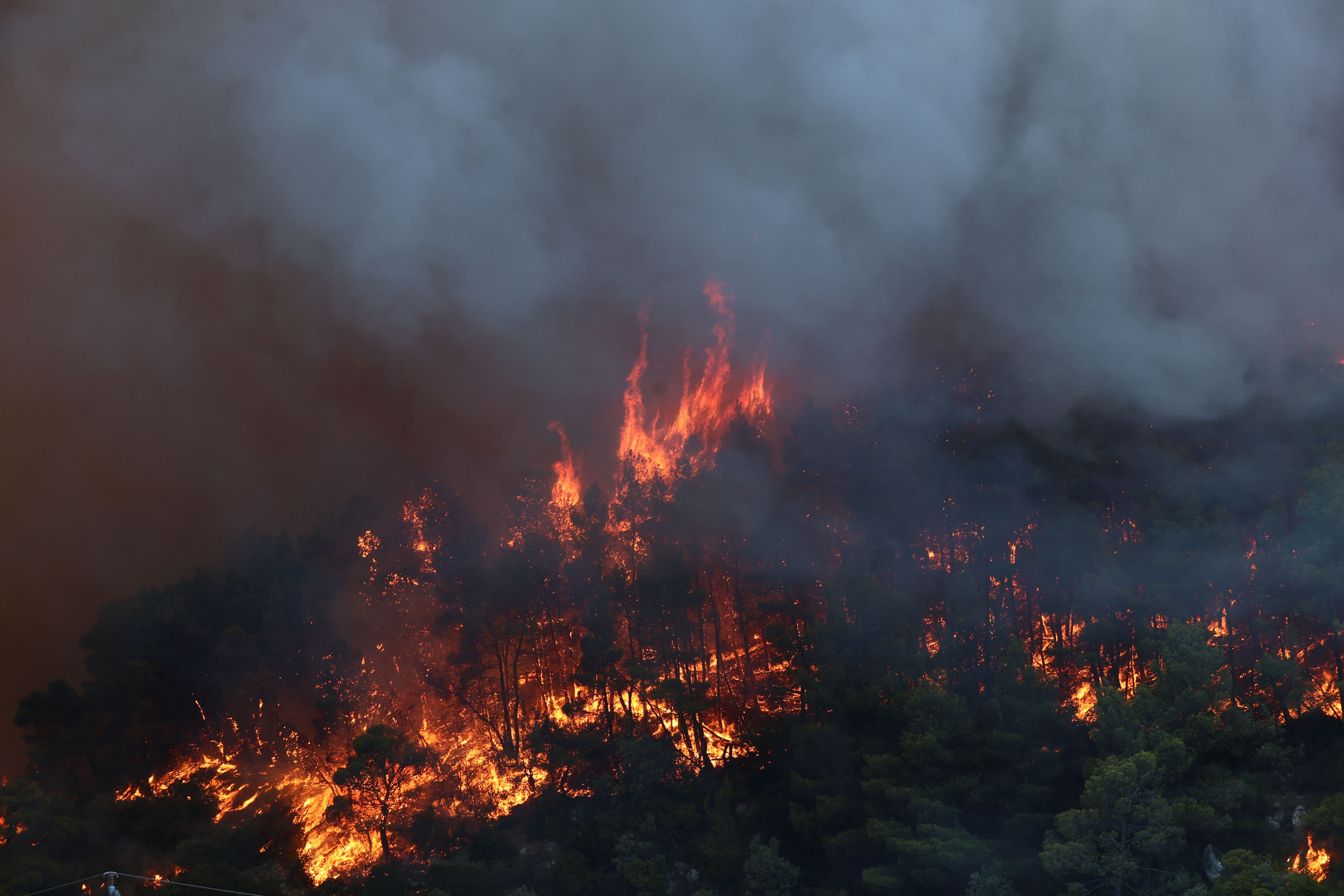 LIVE: “Mega Fire” στο Πόρτο Γερμενό – Νέα 112 για εκκενώσεις, κυκλοφοριακές ρυθμίσεις