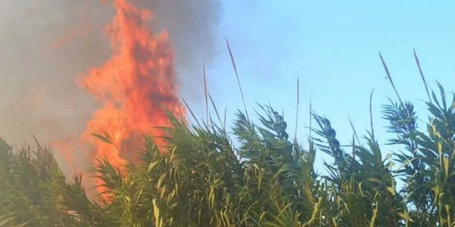 Οριοθετήθηκε η φωτιά στα Πηγαδάκια Αρκαδίας