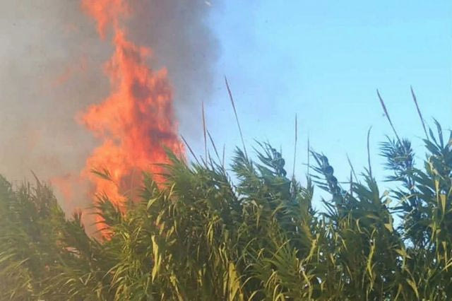 Φωτιά στα Πηγαδάκια Αρκαδίας – Επιχειρούν και εναέρια μέσα